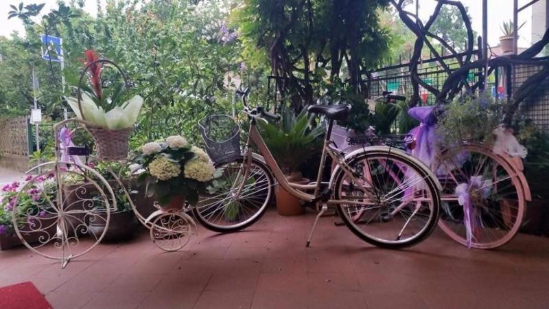 Hotel Stipino ลุคคา ภายนอก รูปภาพ