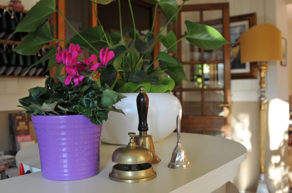 Hotel Stipino ลุคคา ภายนอก รูปภาพ